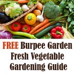 FREE Burpee Garden Fresh Vegetable Gardening Guide