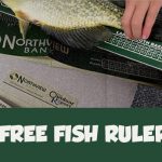 FREE Fish Ruler