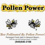 FREE Sample of Bee Pollen Power